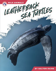 Title: Leatherback Sea Turtles, Author: Dalton Rains