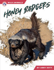 Free epub mobi ebooks download Honey Badgers  in English by Dalton Rains 9798892505840