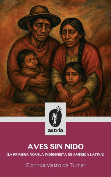 Aves sin nido (La primera novela indigenista de AmÃ¯Â¿Â½rica Latina)