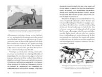 Alternative view 4 of The Shortest History of the Dinosaurs: The 230-Million-Year Story of Their Time on Earth