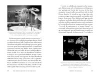 Alternative view 7 of The Shortest History of the Dinosaurs: The 230-Million-Year Story of Their Time on Earth