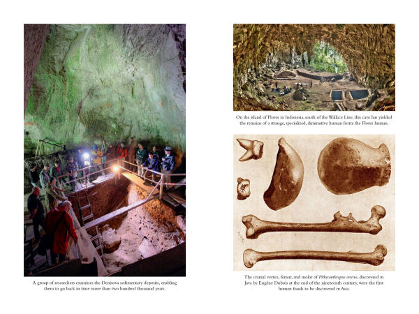 the Secret World of Denisovans: Epic Story Ancient Cousins to Sapiens and Neanderthals