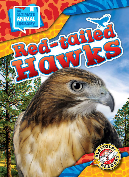 Red-tailed Hawks