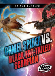 Camel Spider vs. Black Fat-Tailed Scorpion