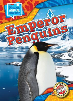 Emperor Penguins