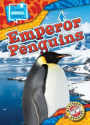 Emperor Penguins