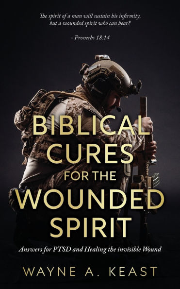 Biblical Cures for the Wounded Spirit: Answers PTSD and Healing Invisible Wound