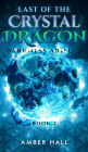 Last of the Crystal Dragon: Darkness Arising