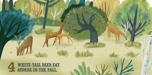 Let's Count South Carolina: A Counting Board Book Primer