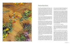 Alternative view 12 of 1000 Botanical Colors: Make Your Own Dyes, Paints, Inks, Stains, and Pottery Paints from 250 Plants