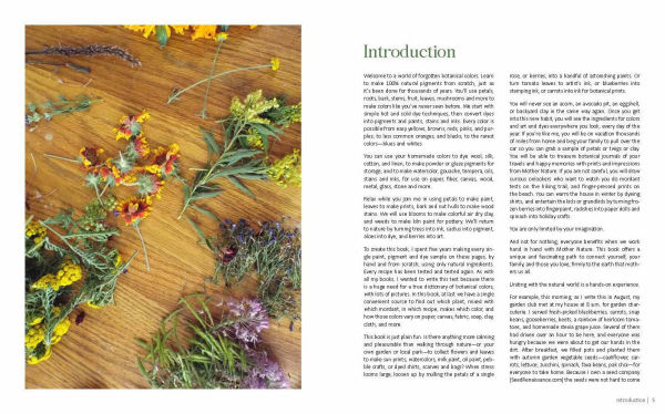 1000 Botanical Colors: Make Your Own Dyes, Paints, Inks, Stains, and Pottery Paints from 250 Plants