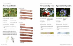 Alternative view 13 of 1000 Botanical Colors: Make Your Own Dyes, Paints, Inks, Stains, and Pottery Paints from 250 Plants