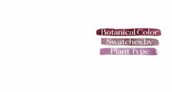 Alternative view 14 of 1000 Botanical Colors: Make Your Own Dyes, Paints, Inks, Stains, and Pottery Paints from 250 Plants