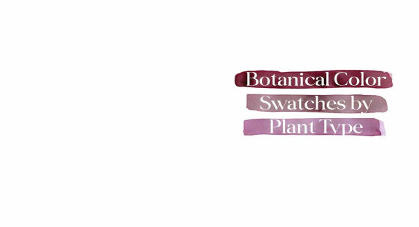 1000 Botanical Colors: Make Your Own Dyes, Paints, Inks, Stains, and Pottery Paints from 250 Plants