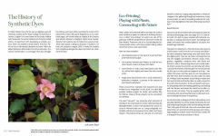 Alternative view 15 of 1000 Botanical Colors: Make Your Own Dyes, Paints, Inks, Stains, and Pottery Paints from 250 Plants