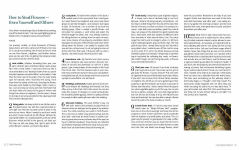 Alternative view 17 of 1000 Botanical Colors: Make Your Own Dyes, Paints, Inks, Stains, and Pottery Paints from 250 Plants