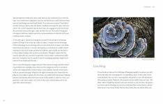 Alternative view 12 of Nature of Color: Your Field Guide for Exploring Color in the Natural World