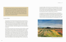 Alternative view 2 of Nature of Color: Your Field Guide for Exploring Color in the Natural World