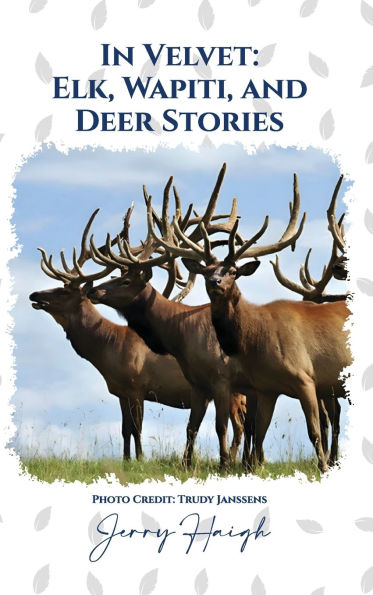 In Velvet: Elk, Wapiti, and Deer