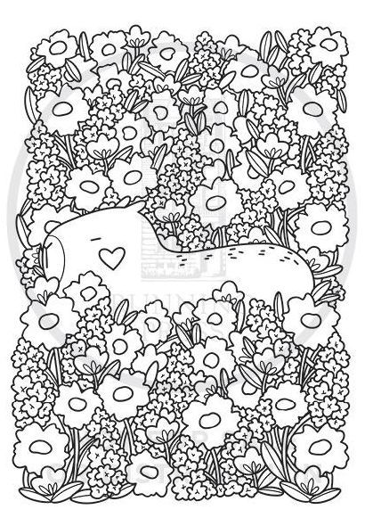 Super-Cute Capybaras: A Cozy Creatures Coloring Book
