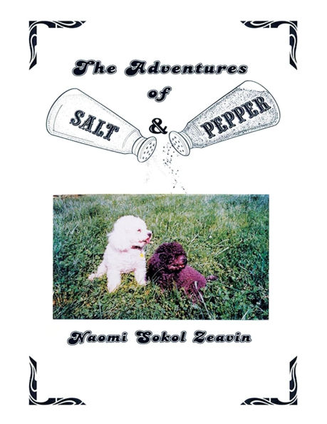 The Adventures of Salt & Pepper