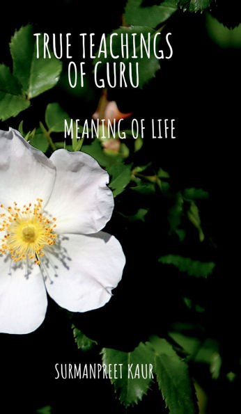 True Teachings of Guru: Meaning of Life