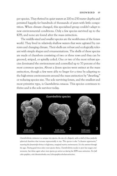 the Last Extinction: Real Science Behind Death of Dinosaurs