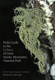 Title: Field Guide to the Lichens of Great Smoky Mountains National Park, Author: Erin Tripp