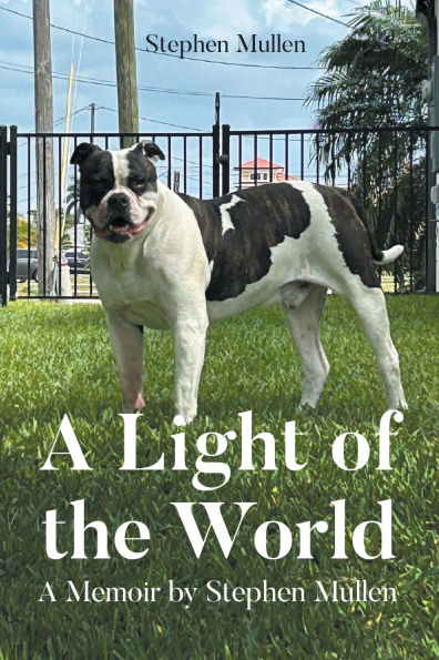 A Light of the World: Memoir by Stephen Mullen