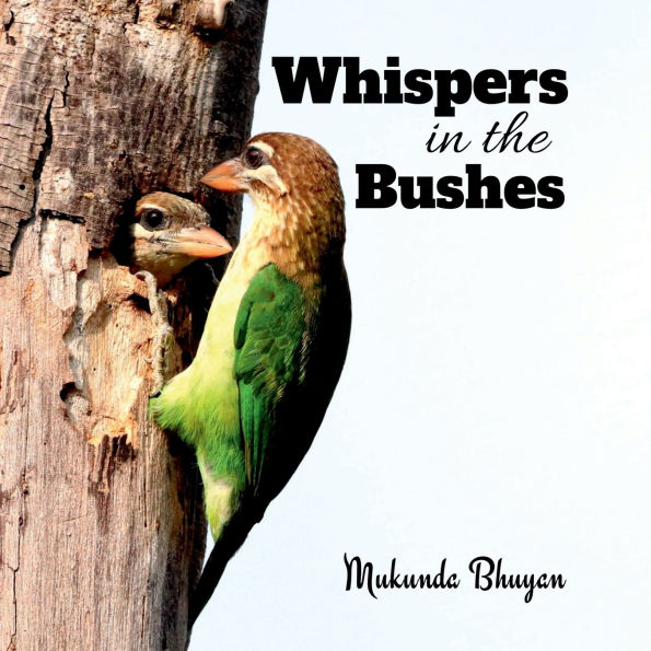 Whispers the bushes: Capturing quiet and enchanting moments of song birds amidst foliage ...