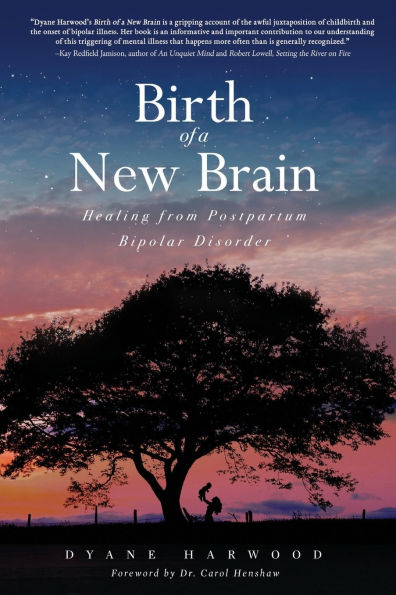 Birth of a New Brain: Healing from Postpartum Bipolar Disorder: