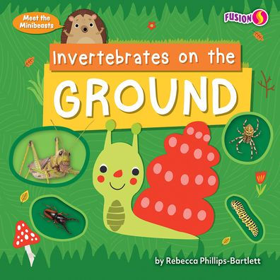 Invertebrates on the Ground