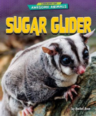 Title: Sugar Glider, Author: Rachel Rose