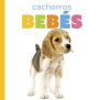 Cachorros Bebï¿½s