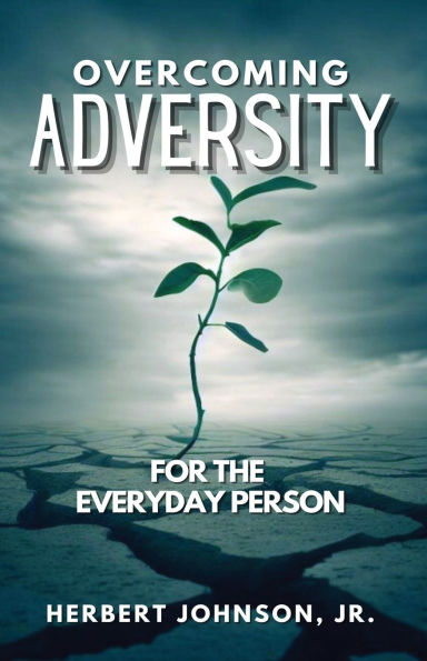 Overcoming Adversity: For the Everyday Person