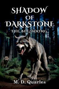 Free download of books for ipad Shadow of Darkstone: The Beginning by M. D. Quarles