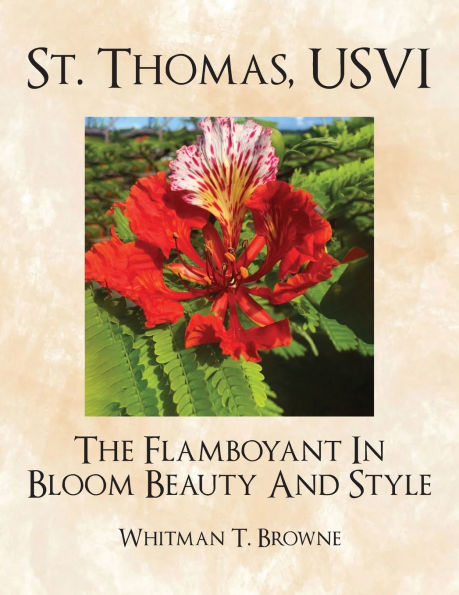 St. Thomas, USVI: The Flamboyant Bloom Beauty And Style