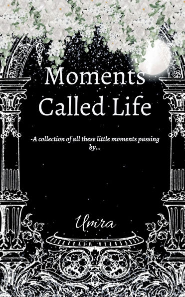 moments Called Life: A collection of all these little passing by...