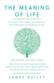 Title: The Meaning of Life: Answers to Life's Biggest Questions from the World's Most Extraordinary People, Author: James Bailey