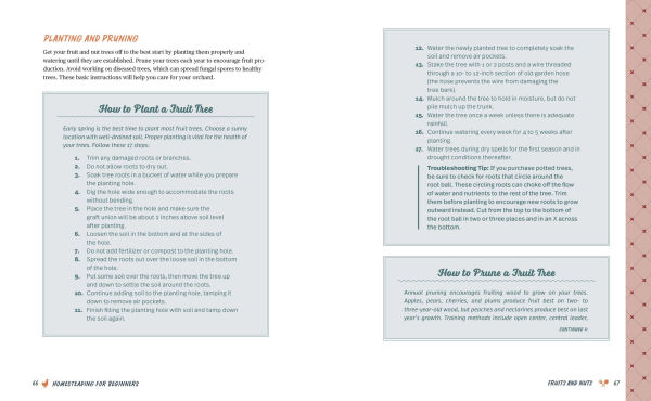 Homesteading for Beginners: All the Tools You Need to Thrive Long Term