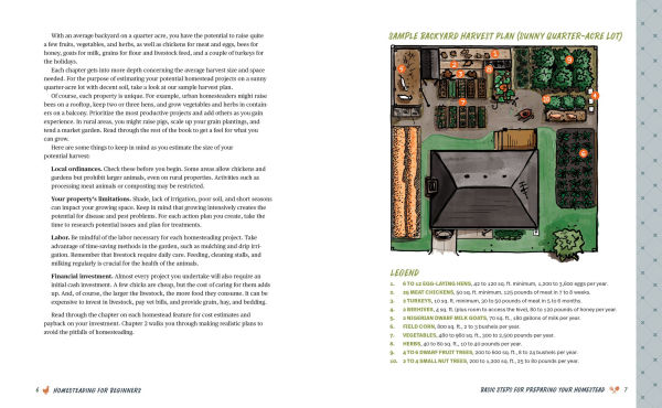 Homesteading for Beginners: All the Tools You Need to Thrive Long Term