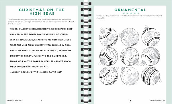 Brain Games Christmas Puzzles