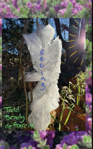 Title: Seeing: where love happens that lasts for forever, Author: Todd Brady de Garcia
