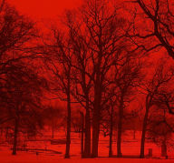 It series book free download Red Rum (English Edition)