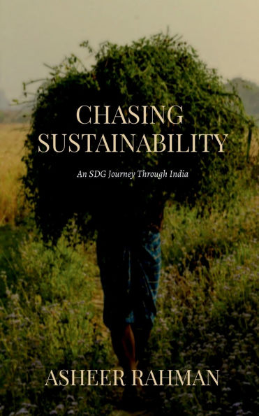 Chasing Sustainability: An SDG Journey Through India