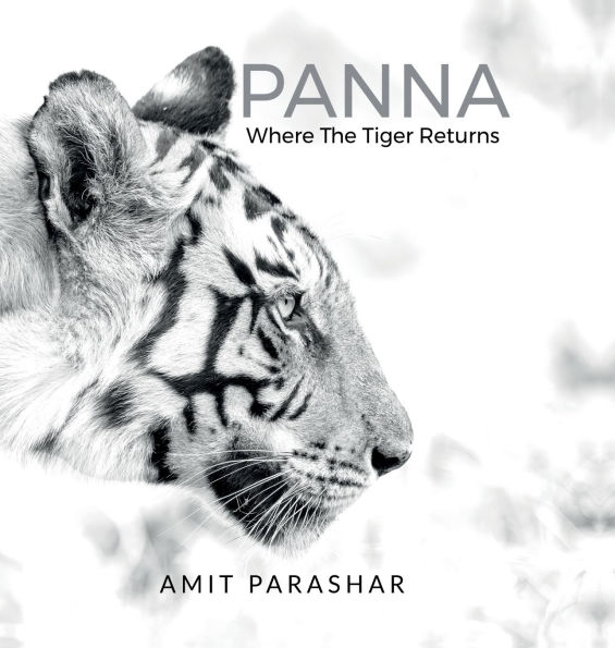 Panna: Where the Tiger Returns