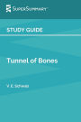 Study Guide: Tunnel of Bones by V. E. Schwab (SuperSummary):