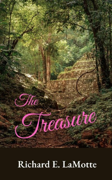 The Treasure: A Fun Romp Through the Amazon with Love, Adventure and Headhunters