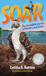 Title: Soar: The Incredible Journey of Hendrix and Ryder, Author: Letitia B. Burton