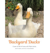 Title: Backyard Ducks: A year of life at home with Pekin ducks, Author: Yvonne M Blacker